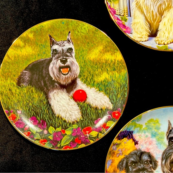 A set of four Danbury Mint “Miniature Schnauzers” collection plates - Picture 3 of 6